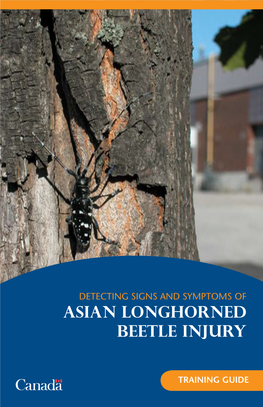 Detecting Signs and Symptoms of Asian Longhorned Beetle Injury
