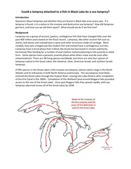 Could a Lamprey Attached to a Fish in Black Lake Be a Sea Lamprey?