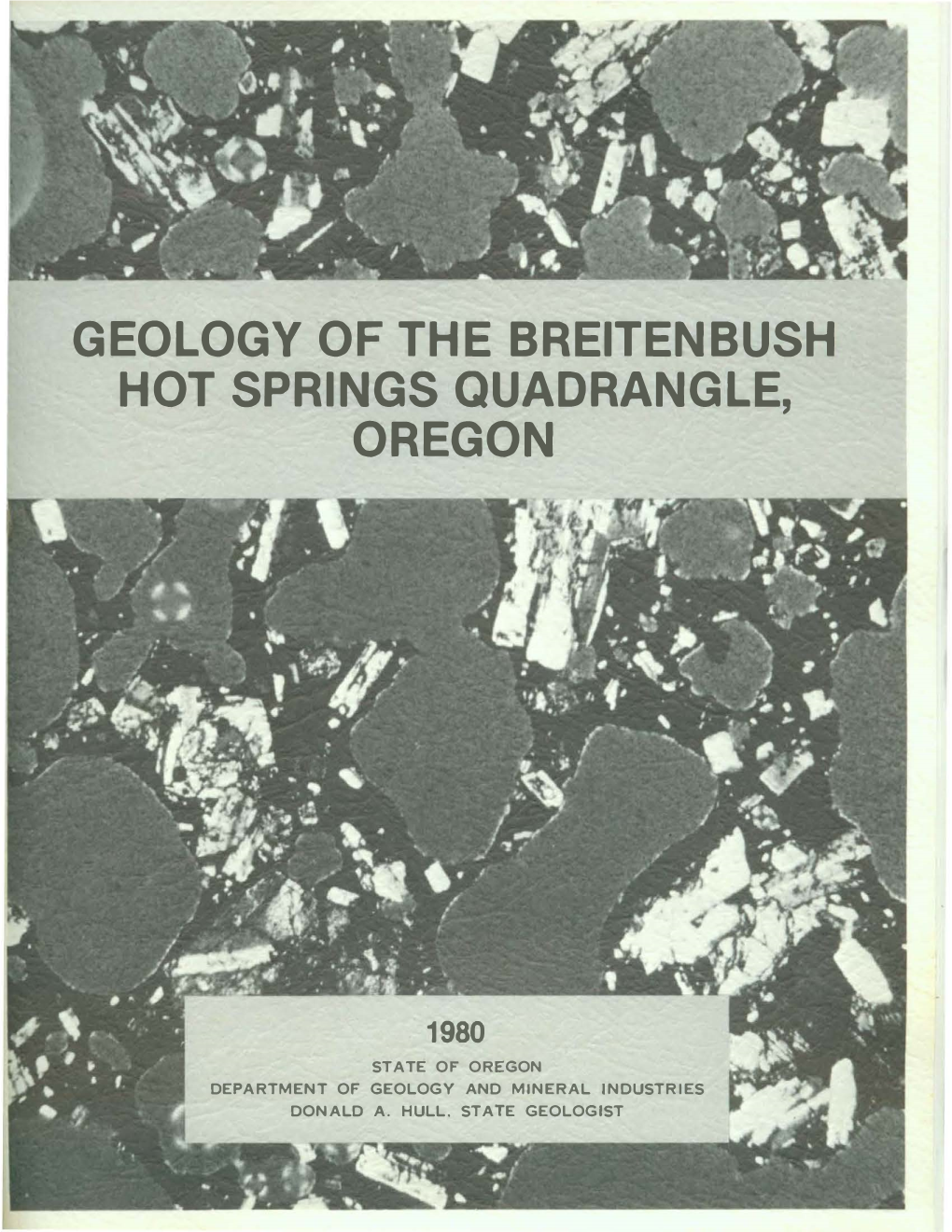 DOGAMI Special Paper 9, Geology of the Breitenbush Hot Springs