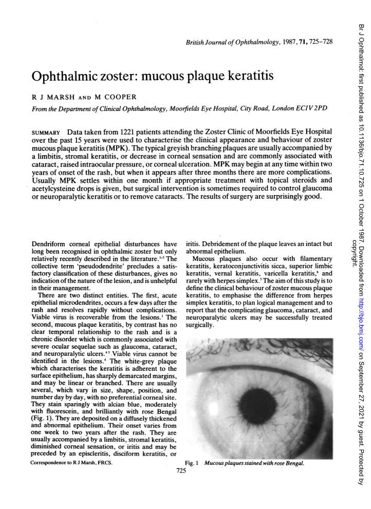 Ophthalmic Zoster: Mucous Plaque Keratitis