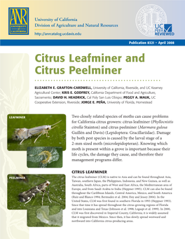 Citrus Leafminer and Citrus Peelminer