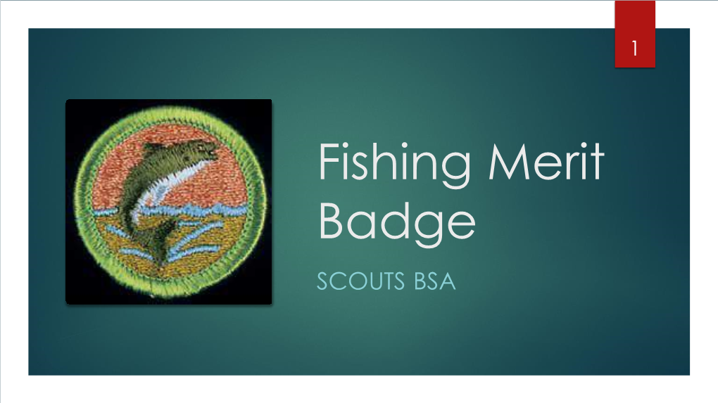 Fishing Merit Badge Online