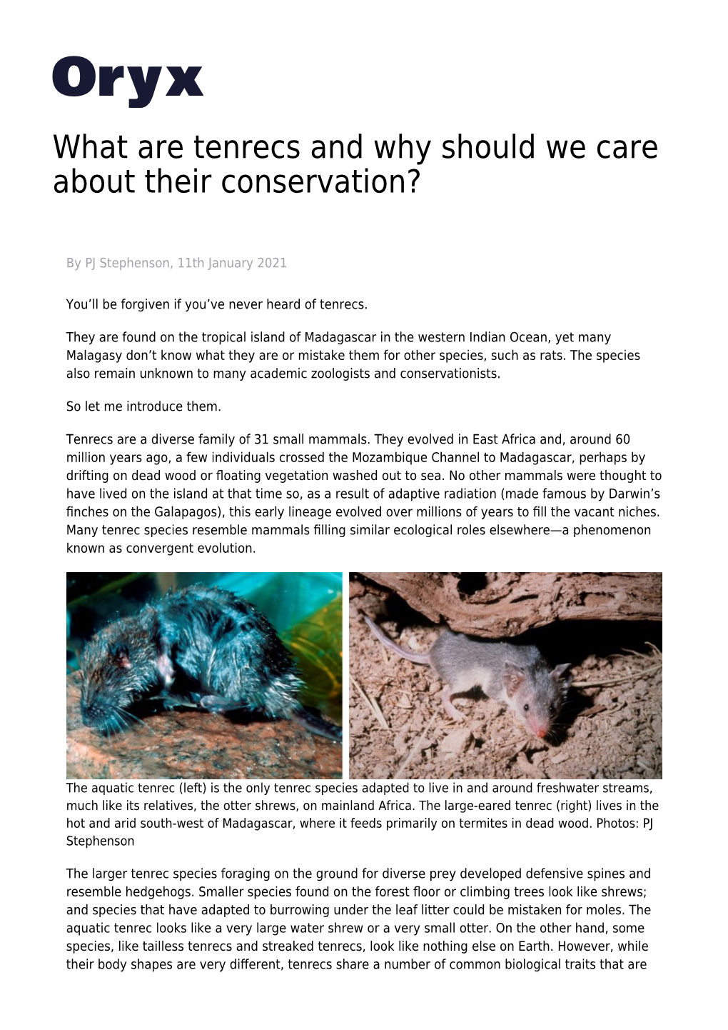 What Are Tenrecs and Why Should We Care About Their Conservation?
