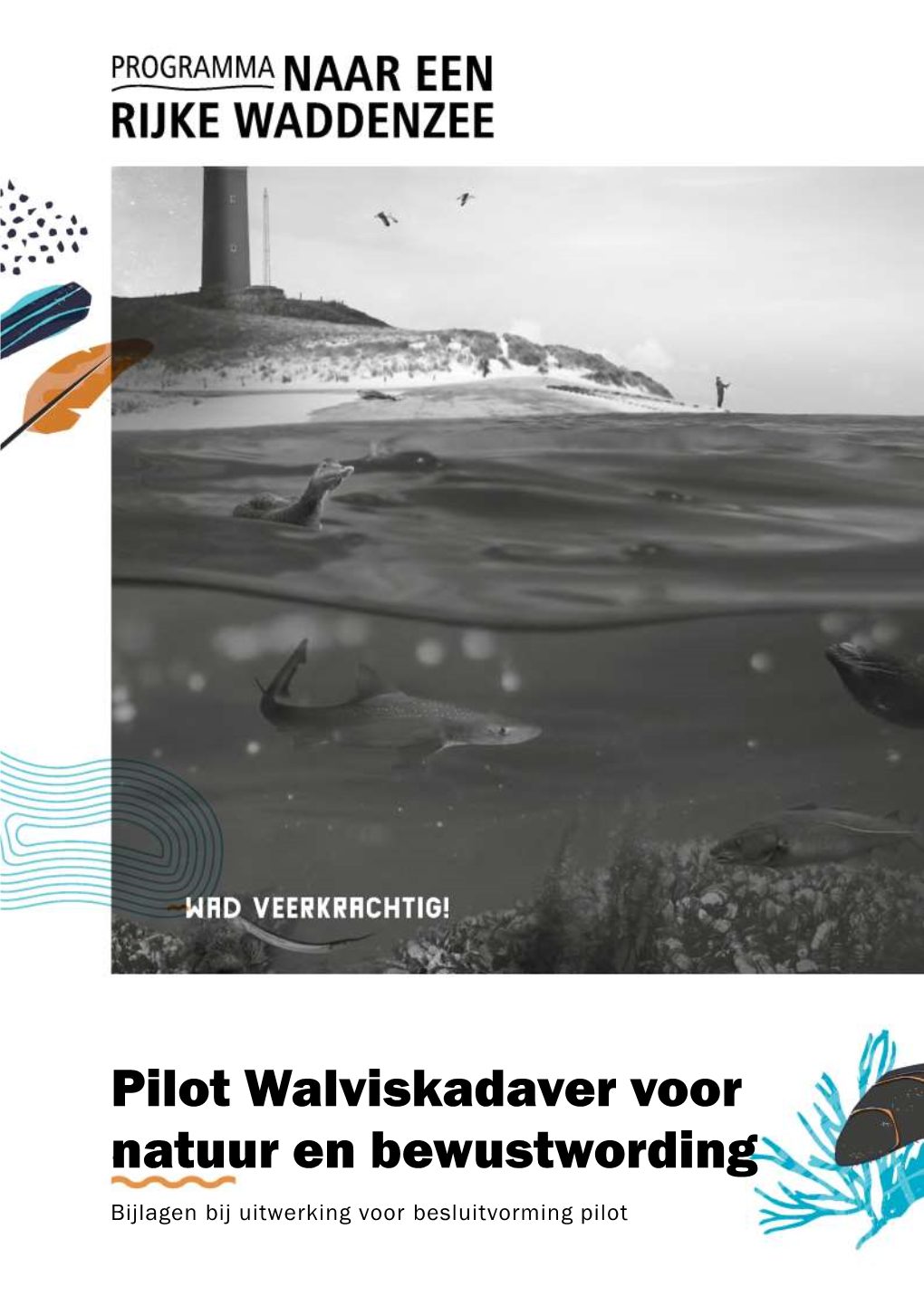 Pilot Walviskadaver Voor Natuur En Bewustwording Bijlagen Bij Uitwerking Voor Besluitvorming Pilot