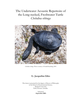 The Underwater Acoustic Repertoire of the Long-Necked, Freshwater Turtle Chelodina Oblonga