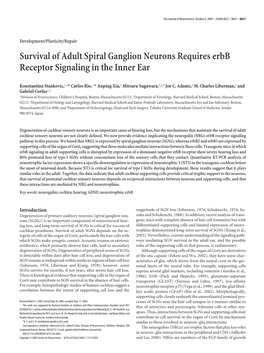 Survival of Adult Spiral Ganglion Neurons Requires Erbb Receptor Signaling in the Inner Ear