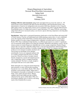 Indigo Bush Plant Pest Risk Assessment