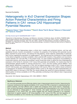 Heterogeneity in Kv2 Channel Expression Shapes Action Potential Characteristics and Firing Patterns in CA1 Versus CA2 Hippocampal Pyramidal Neurons
