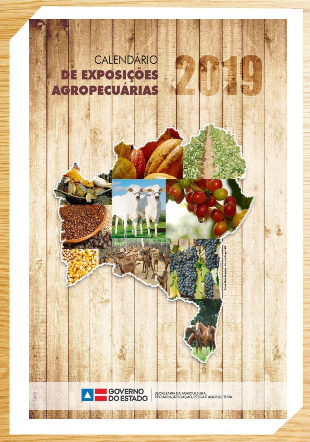 Eventos Agropecuários