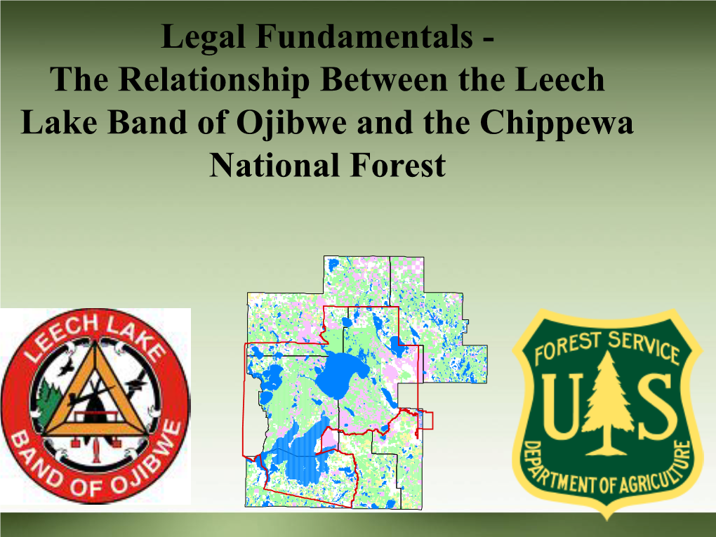 Treaty Rights and the Chippewa National Forest
