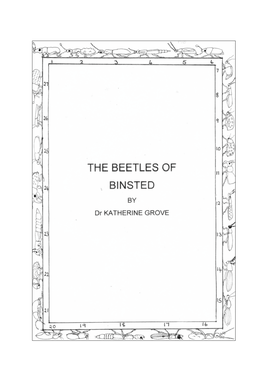 The Beetles of Binsted 2016.Pdf