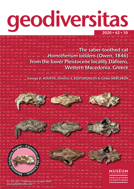 The Saber-Toothed Cat Homotherium Latidens (Owen, 1846) from the Lower Pleistocene Locality Dafnero, Western Macedonia, Greece