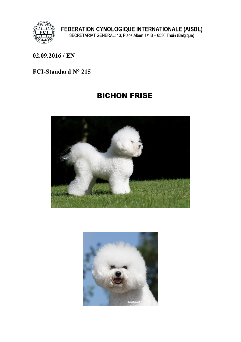 Bichons and Related Breeds -1.1 Bichons