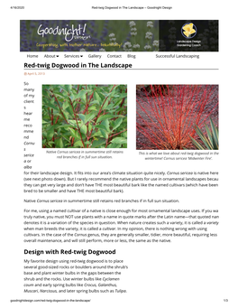 Red-Twig Dogwood in the Landscape – Goodnight Design