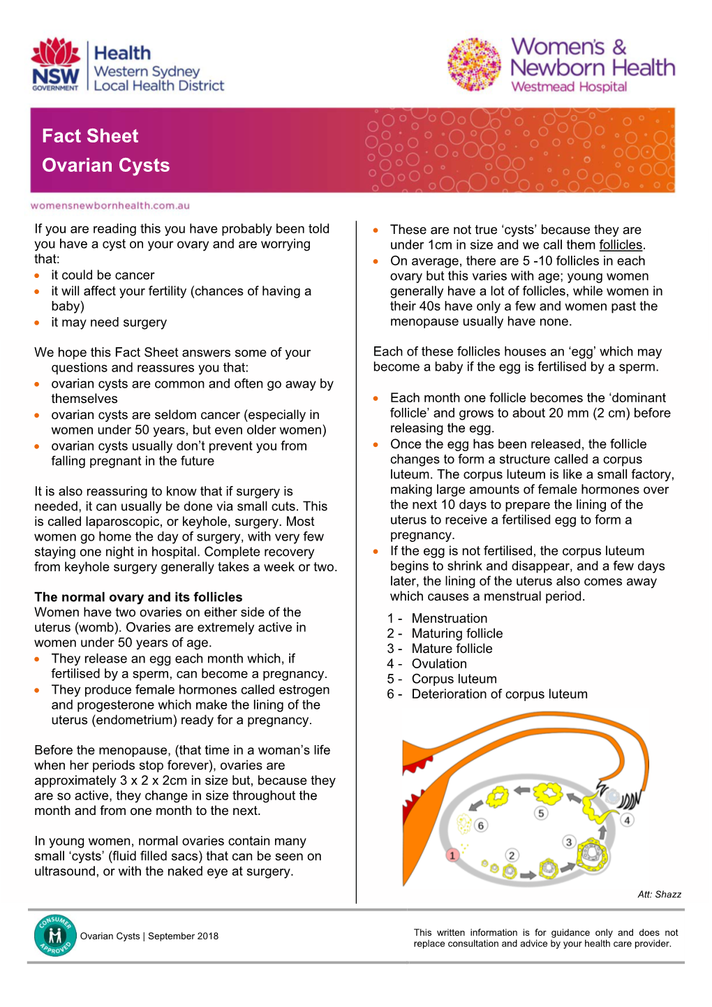 Fact Sheet Ovarian Cysts