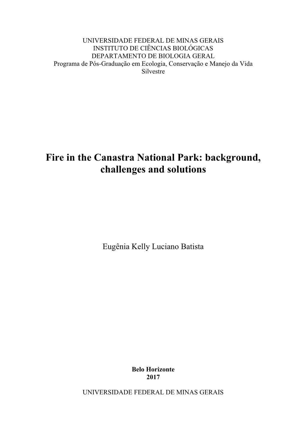 Fire in the Canastra National Park: Background, Challenges and Solutions