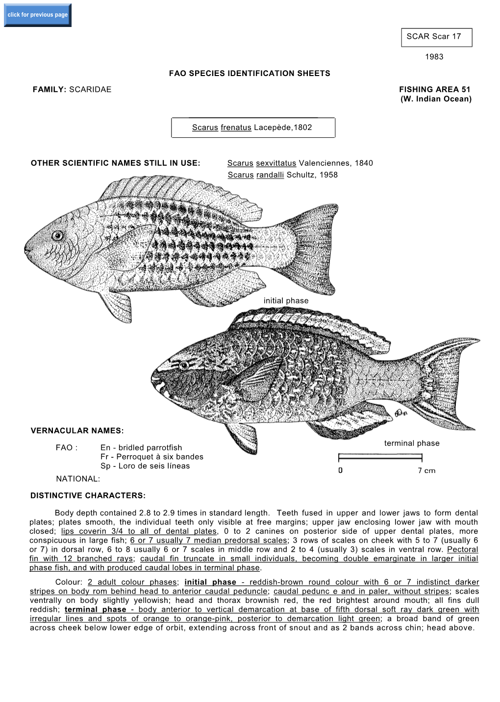 SCAR Scar 17 1983 FAO SPECIES IDENTIFICATION SHEETS FAMILY