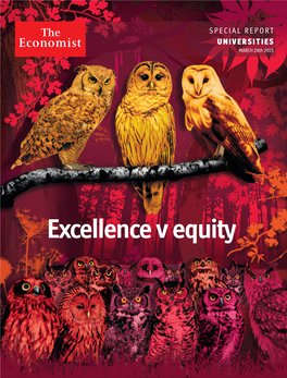 Excellence V Equity
