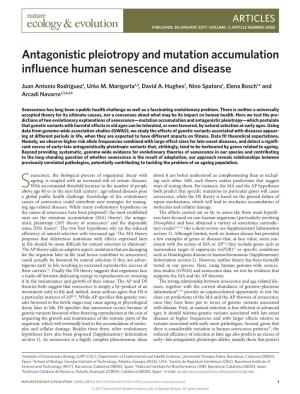 Antagonistic Pleiotropy and Mutation Accumulation Influence Human Senescence and Disease