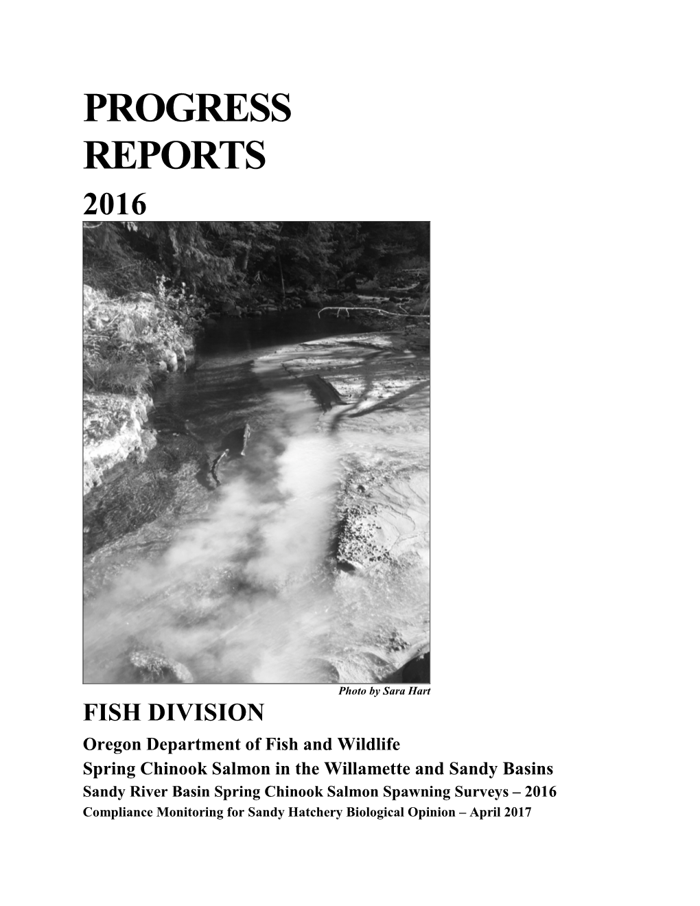 Sandy Basin Spring Chinook Spawning Surveys – 2010
