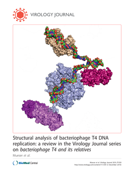 Structural Analysis of Bacteriophage T4 DNA Replication: a Review in the Virology Journal Series on Bacteriophage T4 and Its Relatives Mueser Et Al