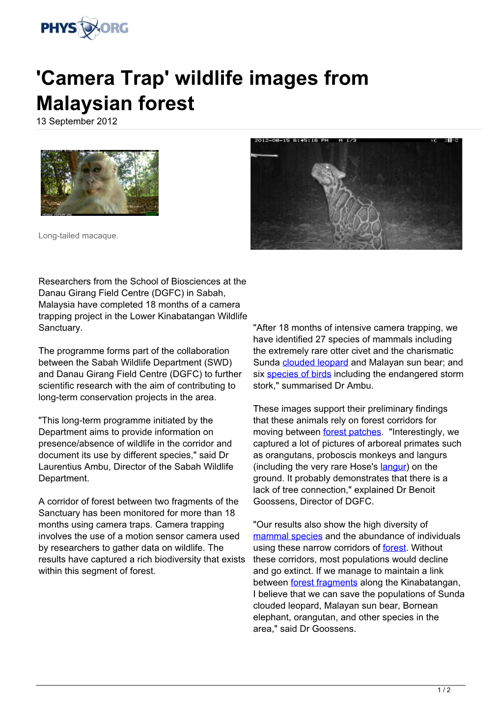 'Camera Trap' Wildlife Images from Malaysian Forest 13 September 2012