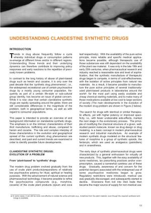 Understanding Clandestine Synthetic Drugs