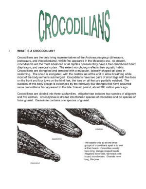 I What Is a Crocodilian?