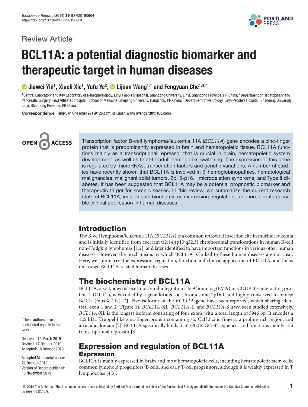 BCL11A: a Potential Diagnostic Biomarker and Therapeutic Target in Human Diseases