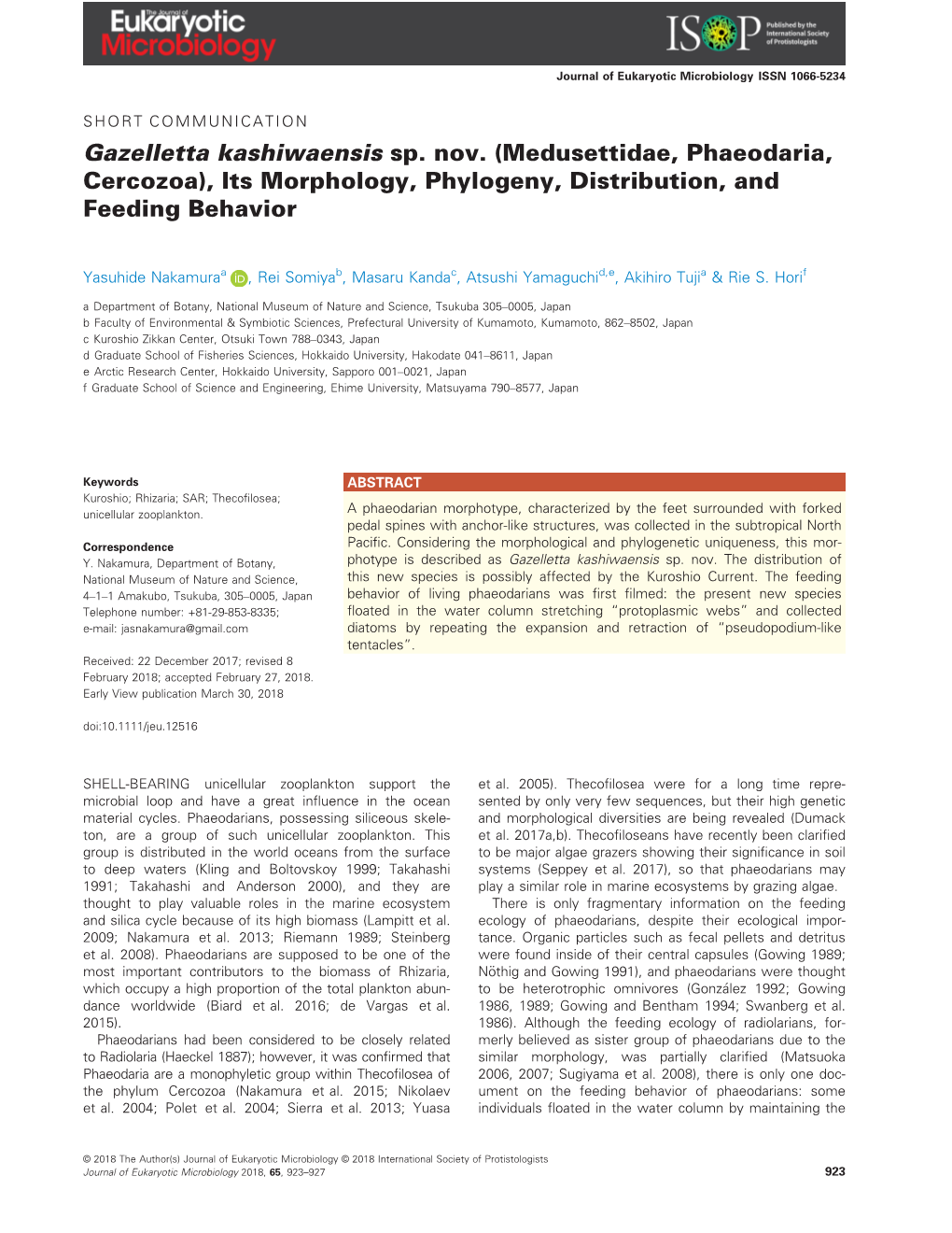 Medusettidae, Phaeodaria, Cercozoa), Its Morphology, Phylogeny, Distribution, and Feeding Behavior