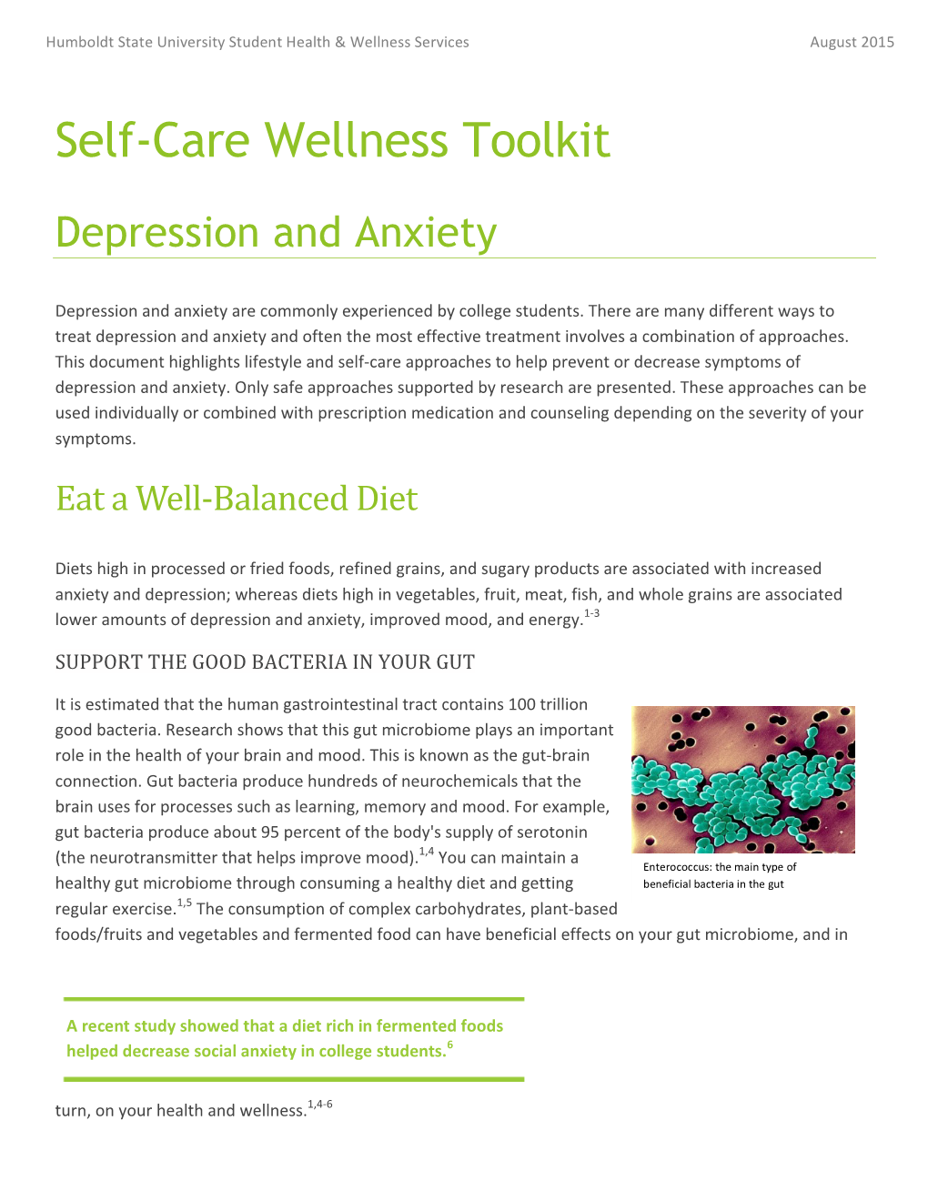 Self Care Wellness Toolkit for Depression and Anxiety for Website