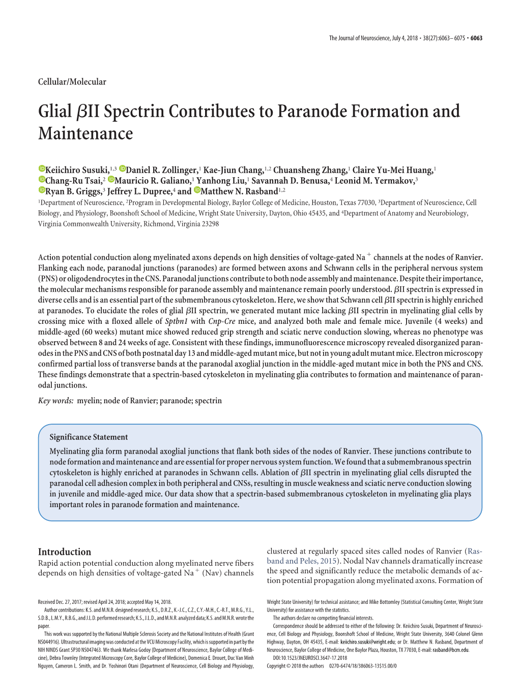 Glial Βii Spectrin Contributes to Paranode Formation And