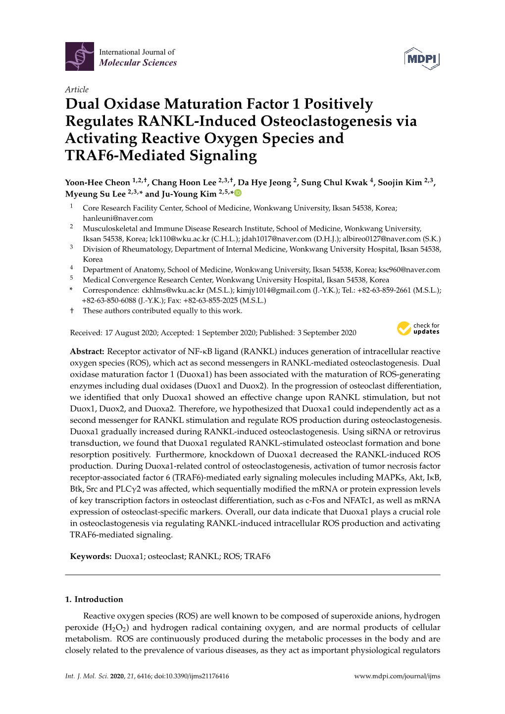 Dual Oxidase Maturation Factor 1 Positively Regulates RANKL-Induced Osteoclastogenesis Via Activating Reactive Oxygen Species and TRAF6-Mediated Signaling