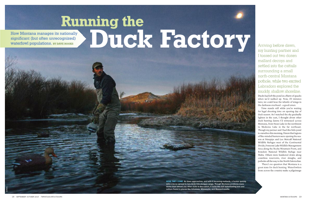 Running the Duck Factory. Montana Outdoors.Pdf