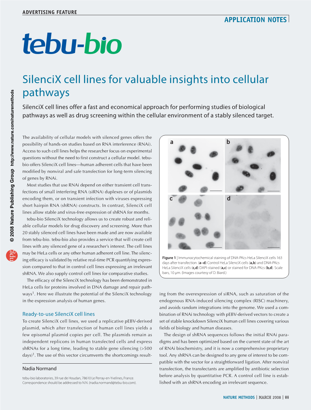 Silencix Cell Lines for Valuable Insights Into Cellular Pathways