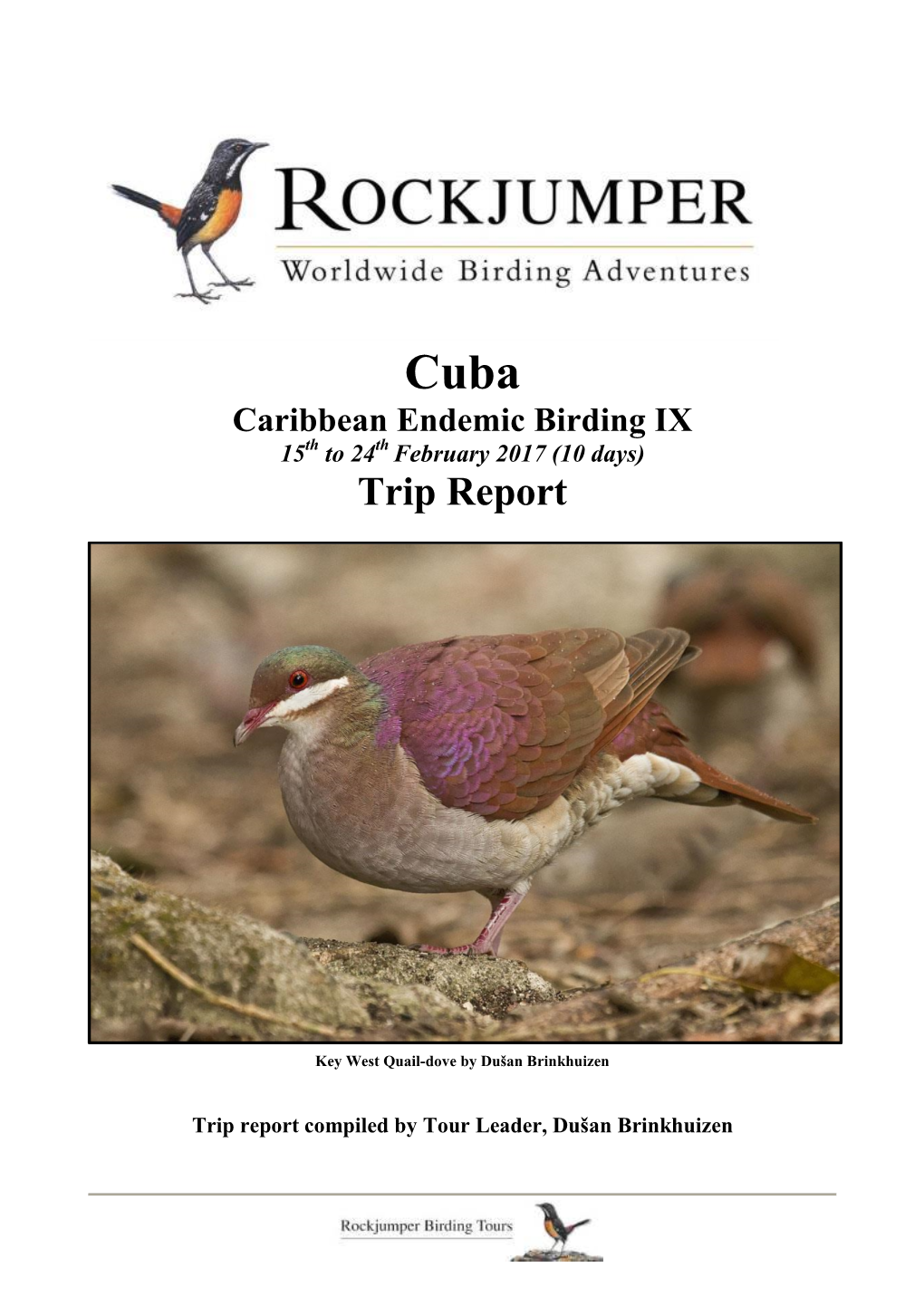 Cuba Caribbean Endemic Birding IX 15Th to 24Th February 2017 (10 Days) Trip Report
