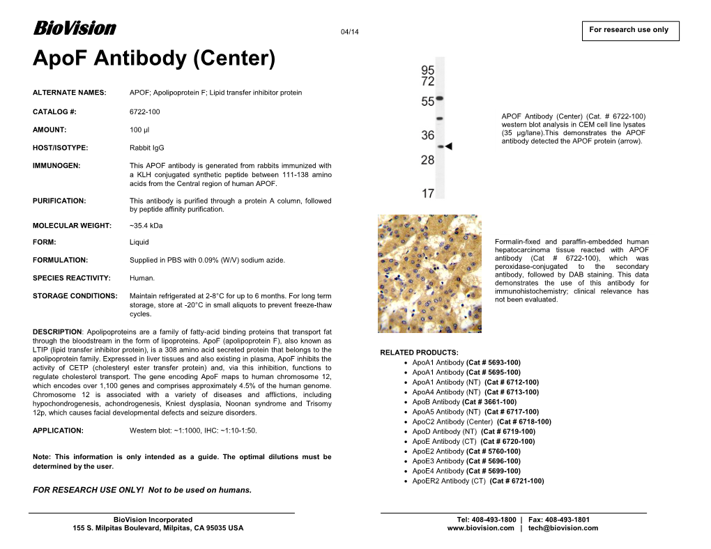 Apof Antibody (Center)