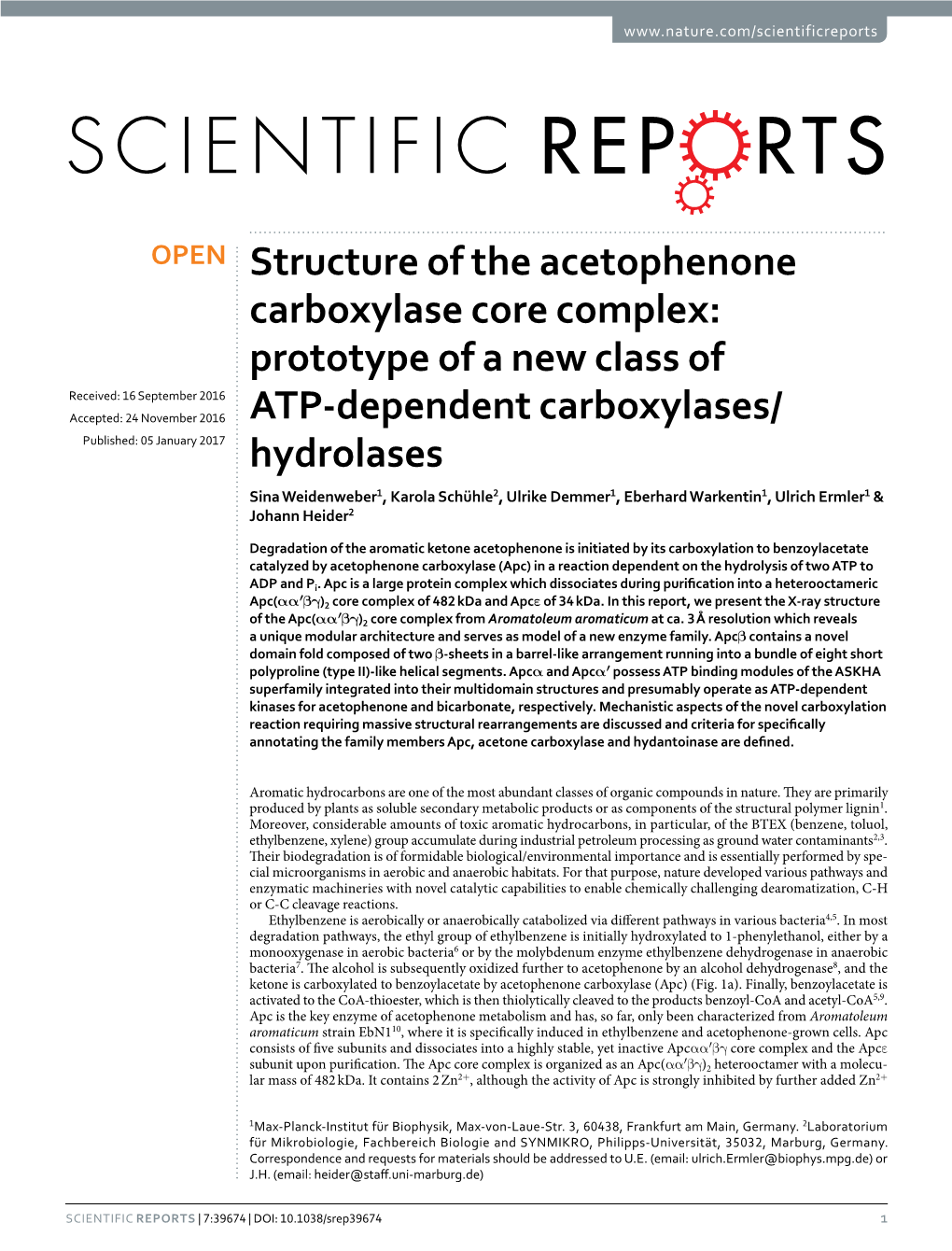 Structure of the Acetophenone Carboxylase Core Complex