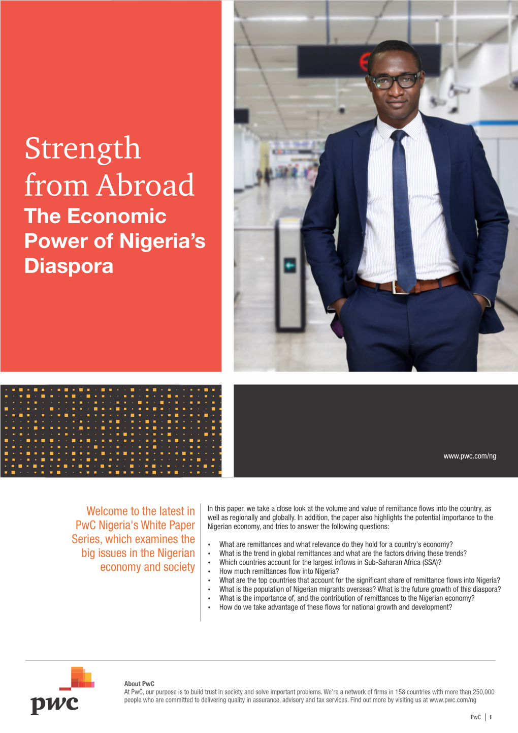 The Economic Power of Nigeria's Diaspora