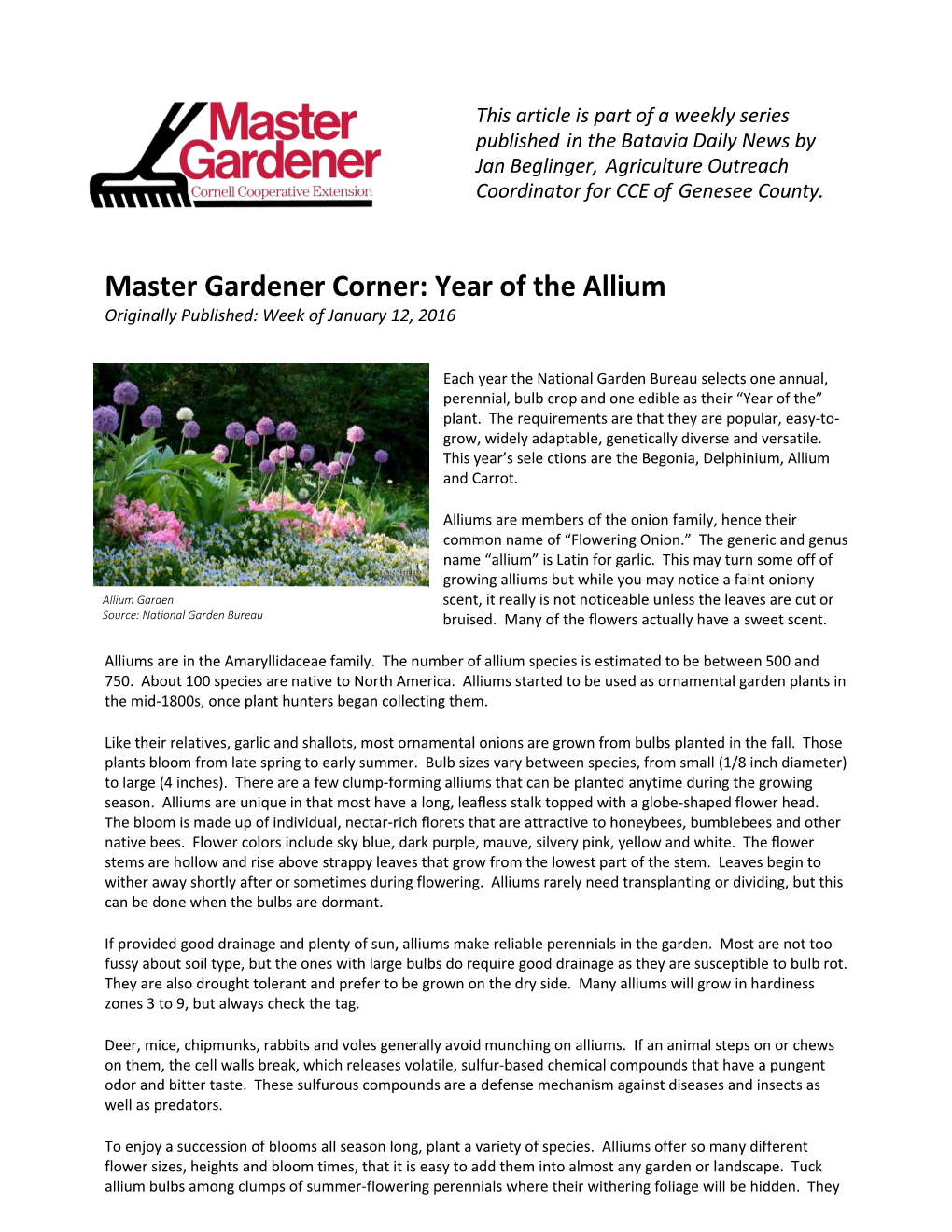 Master Gardener Corner: Year of the Allium Originally Published: Week of January 12, 2016