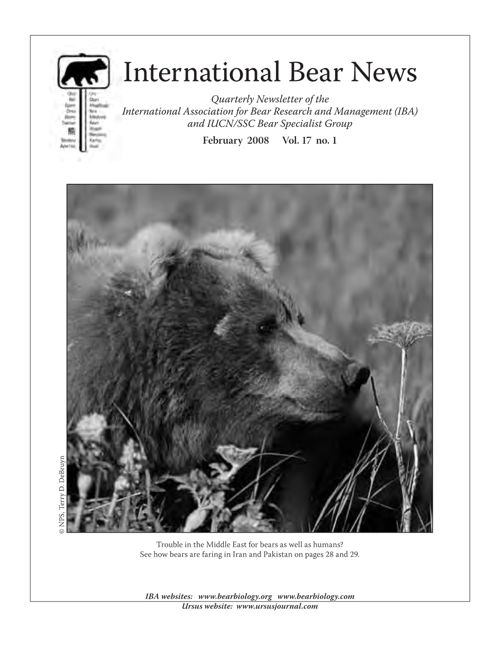 International Bear News