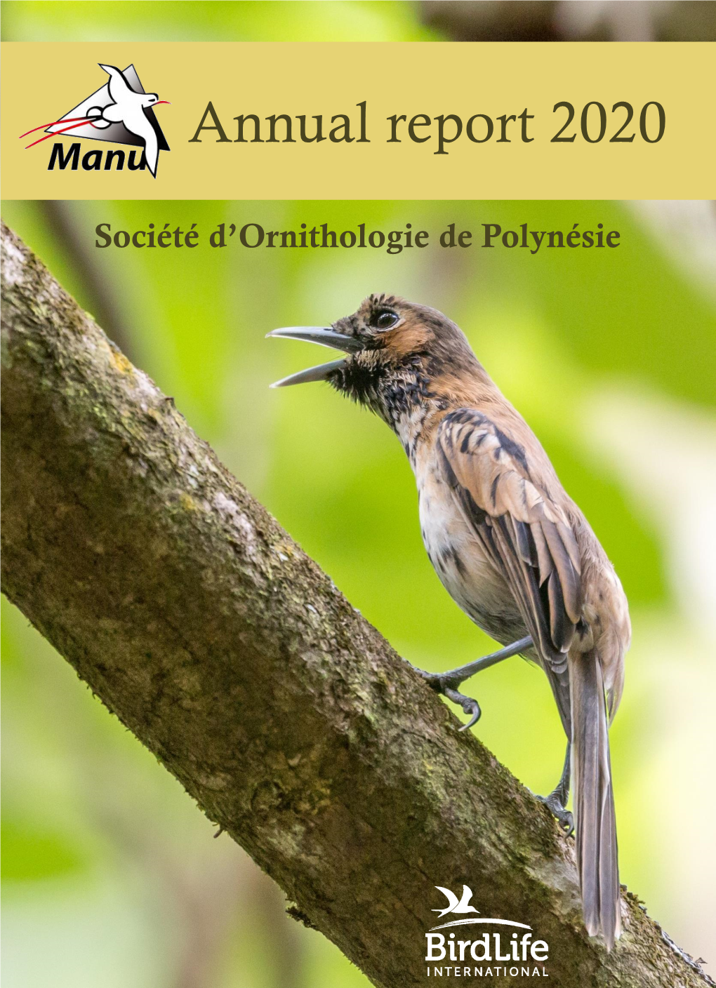 Annual Report 2020