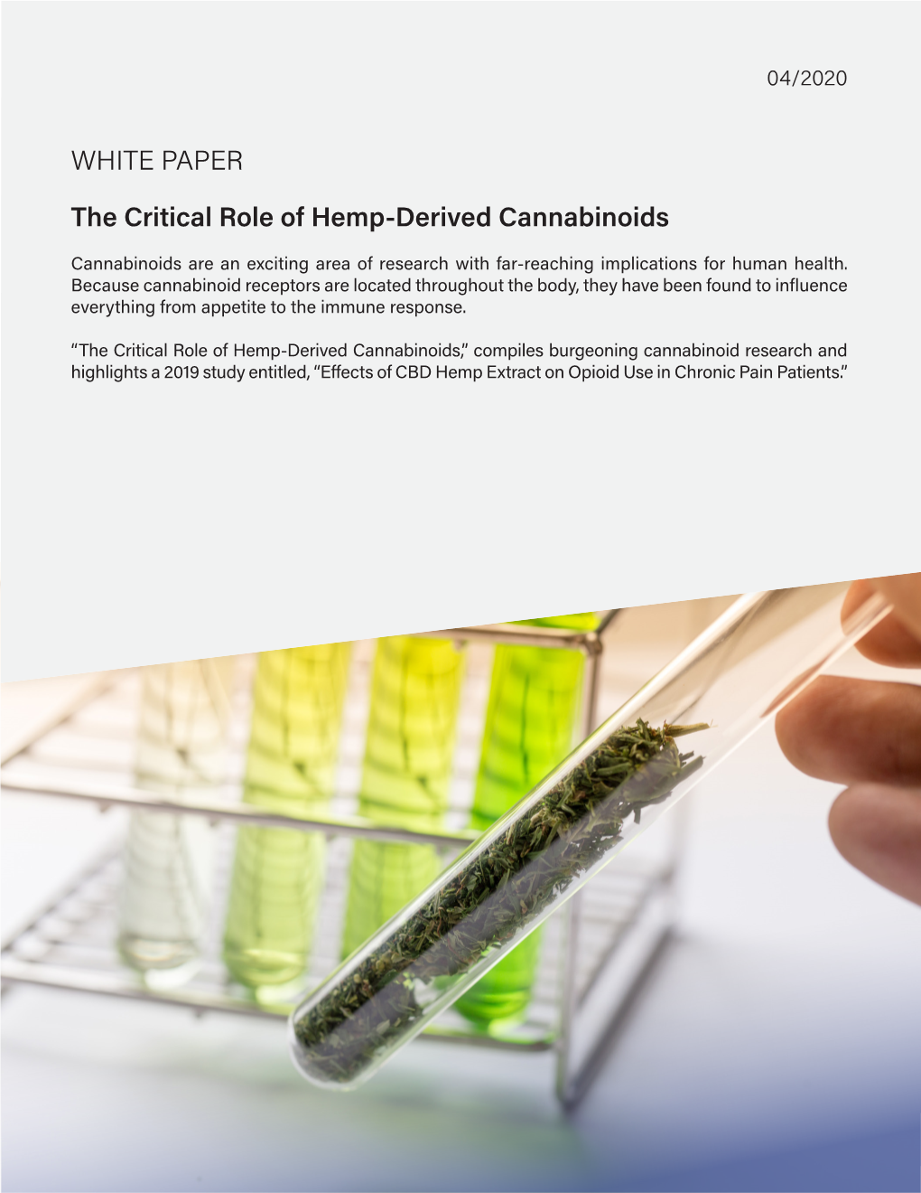WHITE PAPER the Critical Role of Hemp-Derived Cannabinoids
