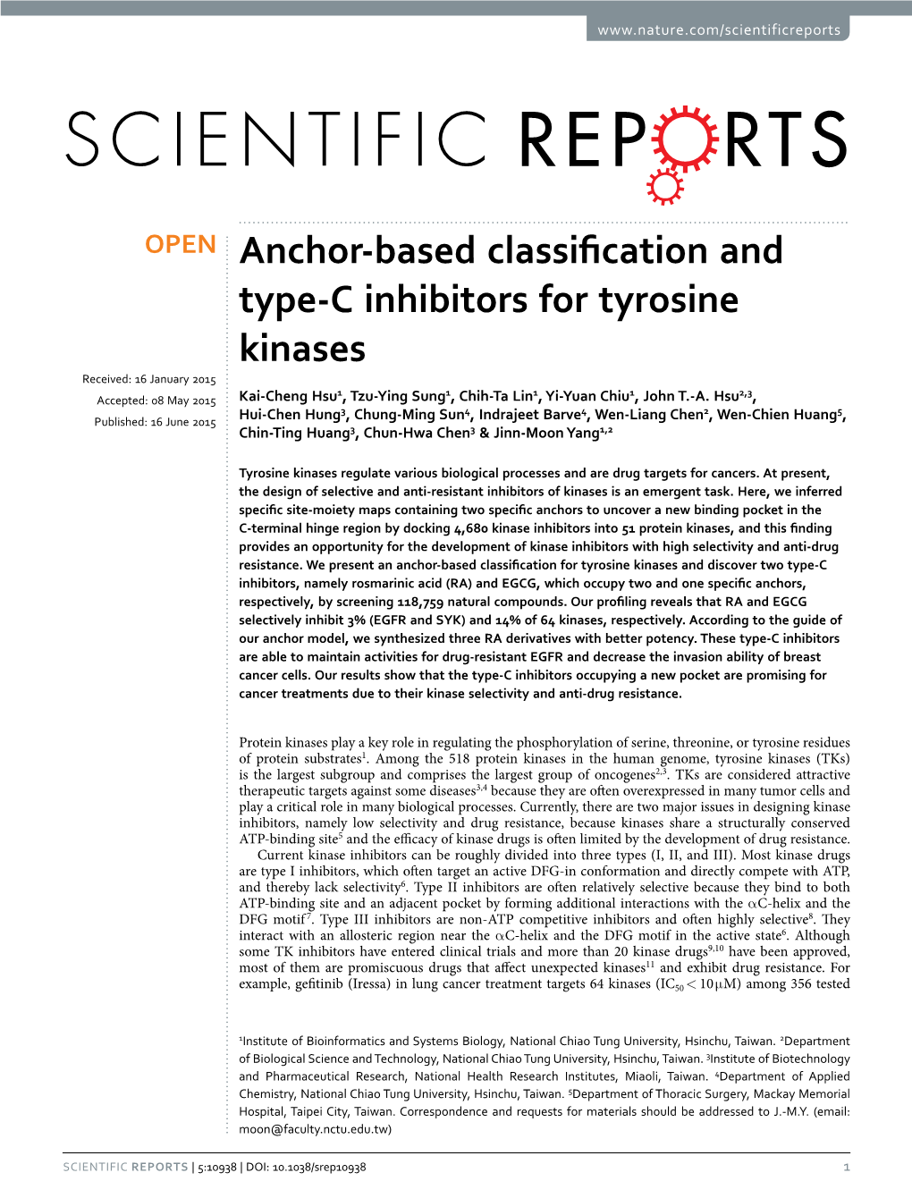 Anchor-Based Classification and Type-C Inhibitors for Tyrosine Kinases