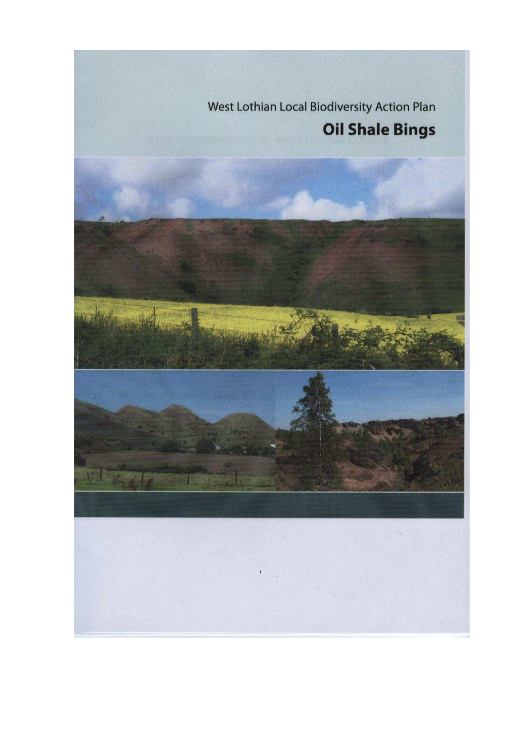 Study Commissioned by West Lothian Council Oil-Shale Bings