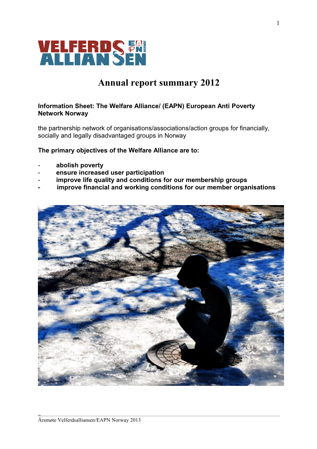 Annual Report Summary 2012