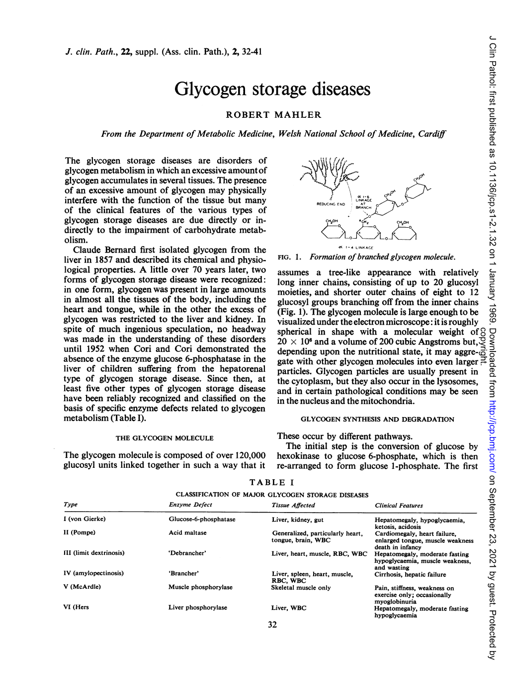 Glycogen Storage Diseases ROBERT MAHLER