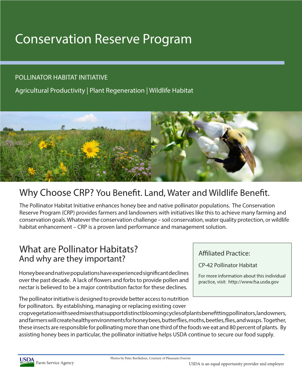 POLLINATOR HABITAT INITIATIVE Agricultural Productivity | Plant Regeneration | Wildlife Habitat