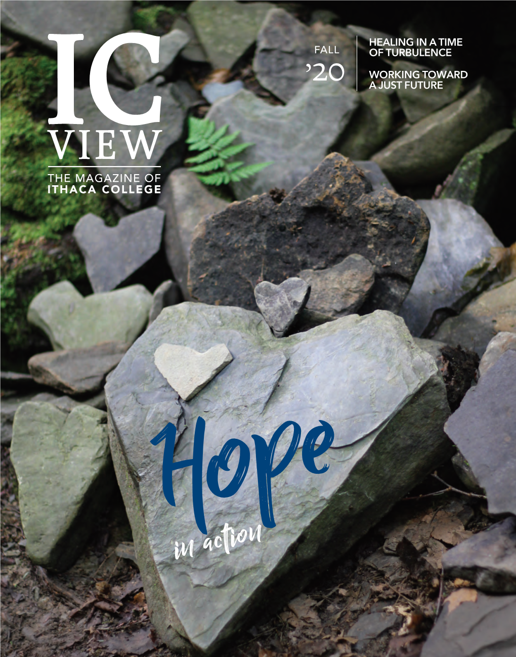 IC View Spring 2019