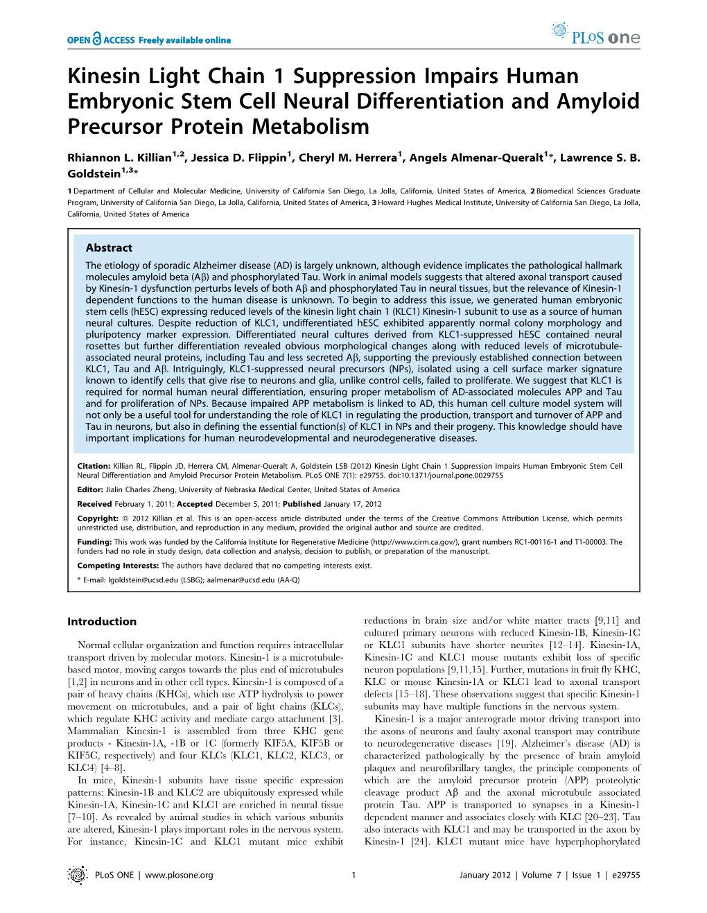 Kinesin Light Chain 1 Suppression Impairs Human Embryonic Stem Cell Neural Differentiation and Amyloid Precursor Protein Metabolism